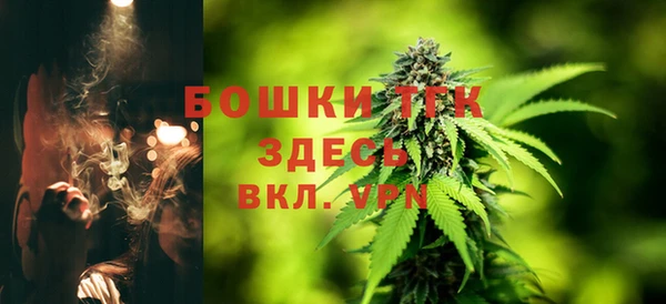дживик Киреевск