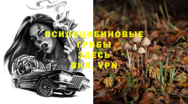 дживик Киреевск