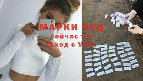 гашик Касимов