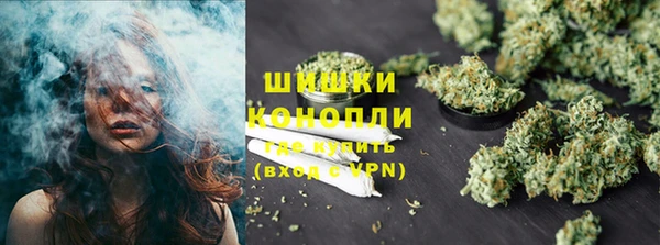 гашик Касимов