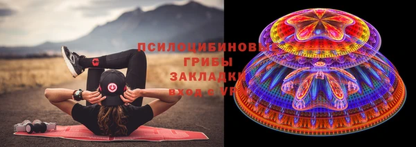 гашик Касимов
