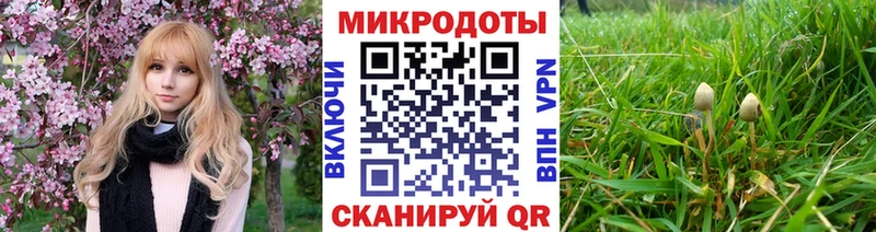 Купить где  Иннополис  Галлюциногенные грибы Psilocybine cubensis 